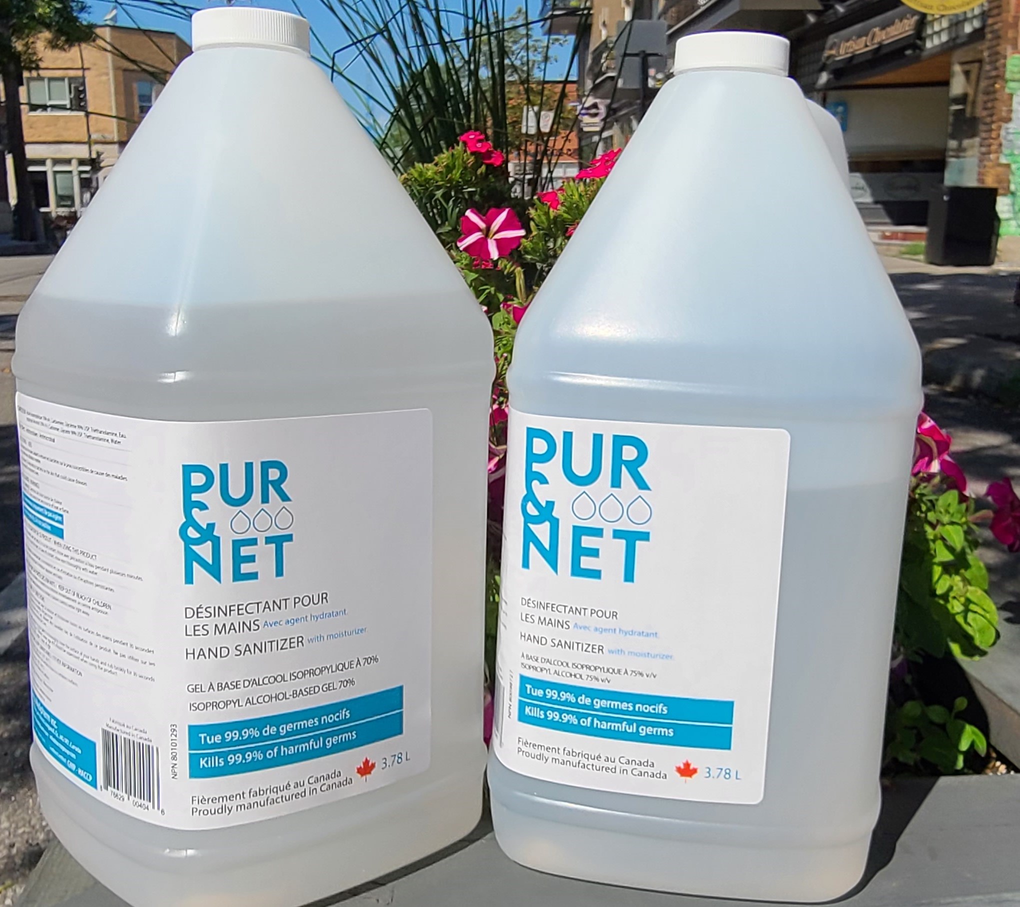 PUR NET